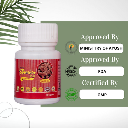 STAMINA PLUS : Natural Ayurvedic (30 Days Pack)