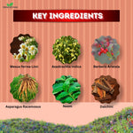 PILES KIT : No More Piles! Experience the Power of Natural Healing - Your One-Stop Solution!