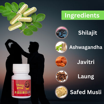 STAMINA PLUS : Natural Ayurvedic (30 Days Pack)