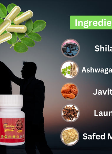 India's #1 STAMINA PLUS : The Natural Ayurvedic Supplement